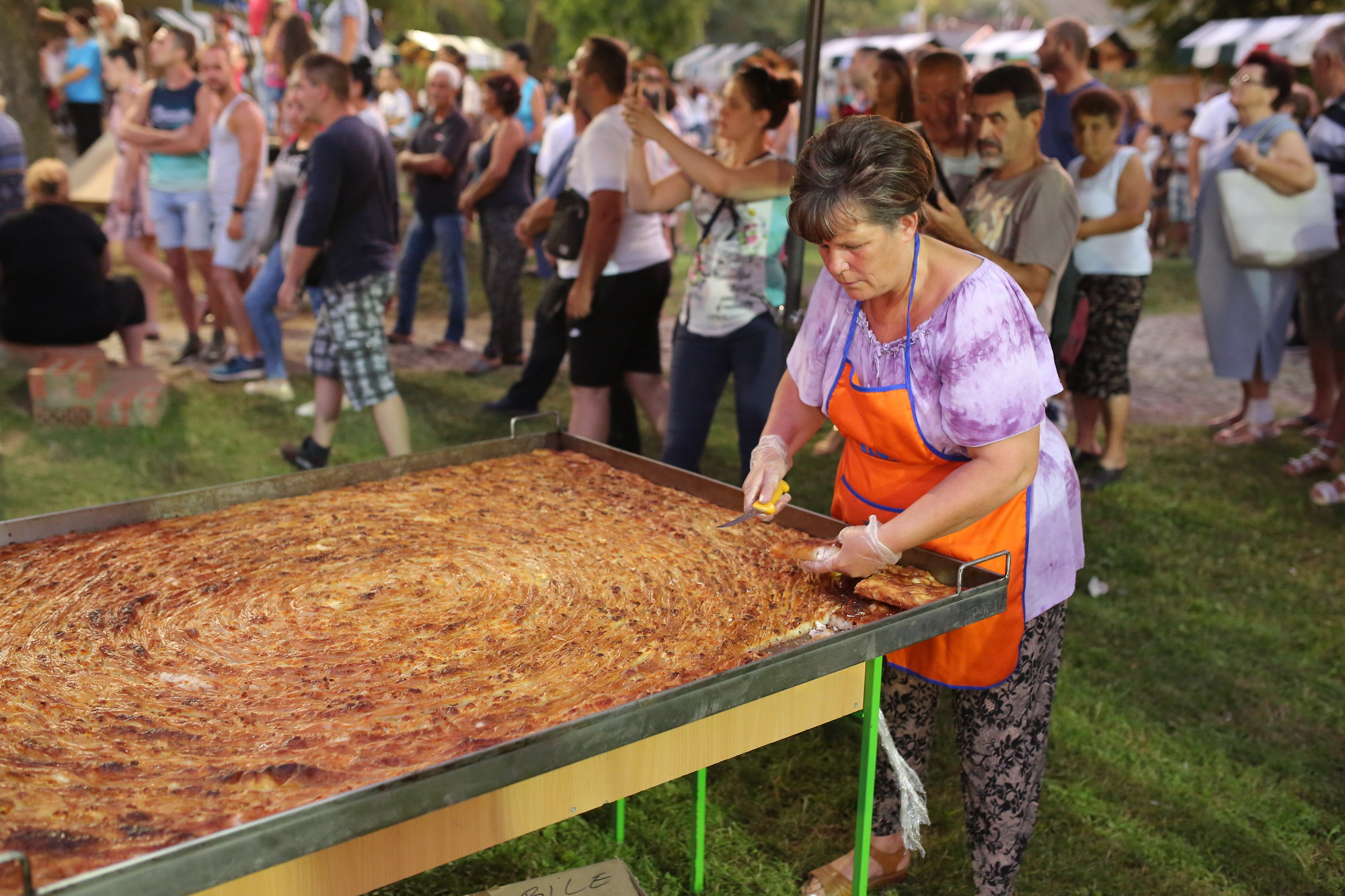 Turistička organizacija Bela Palanka
